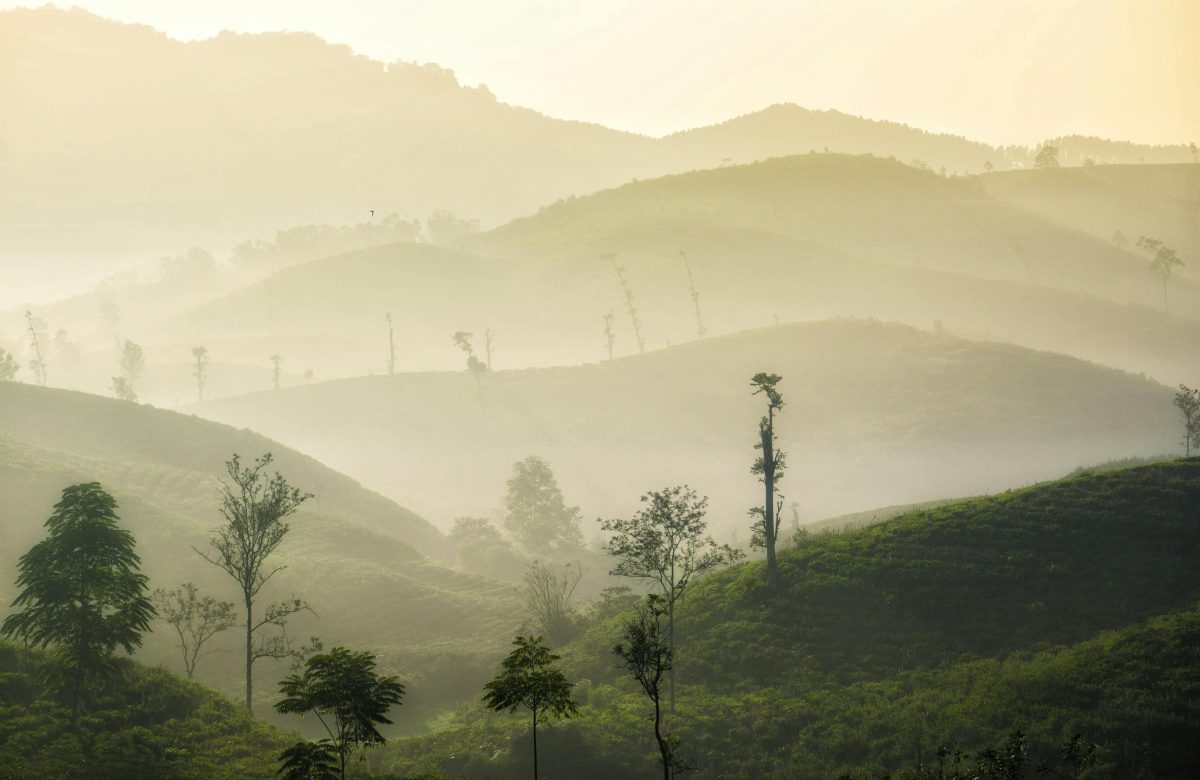Sukabumi Creative Economy Roadmap Development Study
